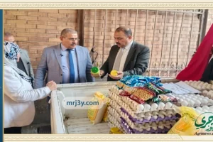 الهيئة القومية لسلامة الغذاء تكثف الرقابة لضمان انسيابية السلع الغذائية