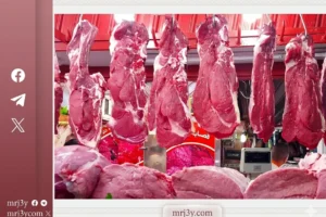تشديد الرقابة على أسواق اللحوم في الرياض ومصادرة منتجات حيوانية مجهولة المصدر
