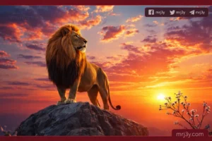 حظك اليوم برج الأسد