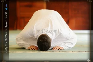 صلاة الضحى.. وقتها وعدد ركعاتها وكيفية أدائها وأفضل ما يُقرأ فيها