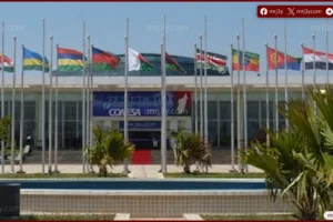 مصر تتصدر استثمارات