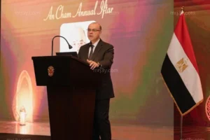 وزير الاستثمار