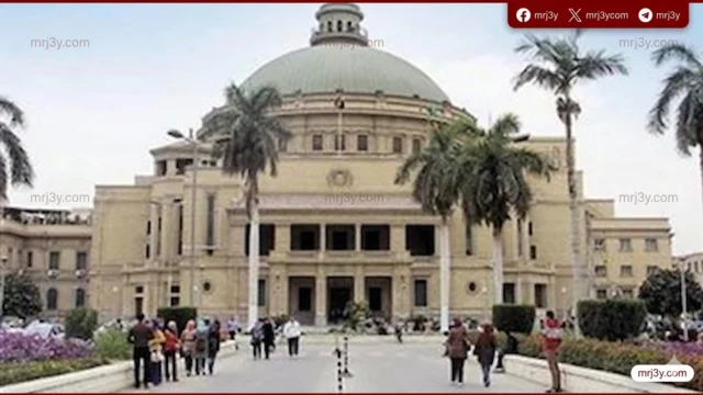 جامعة القاهرة تعلن تجديد 4 شهادات ISO الدولية لكلية التمريض وتعزيز منظومة الجودة