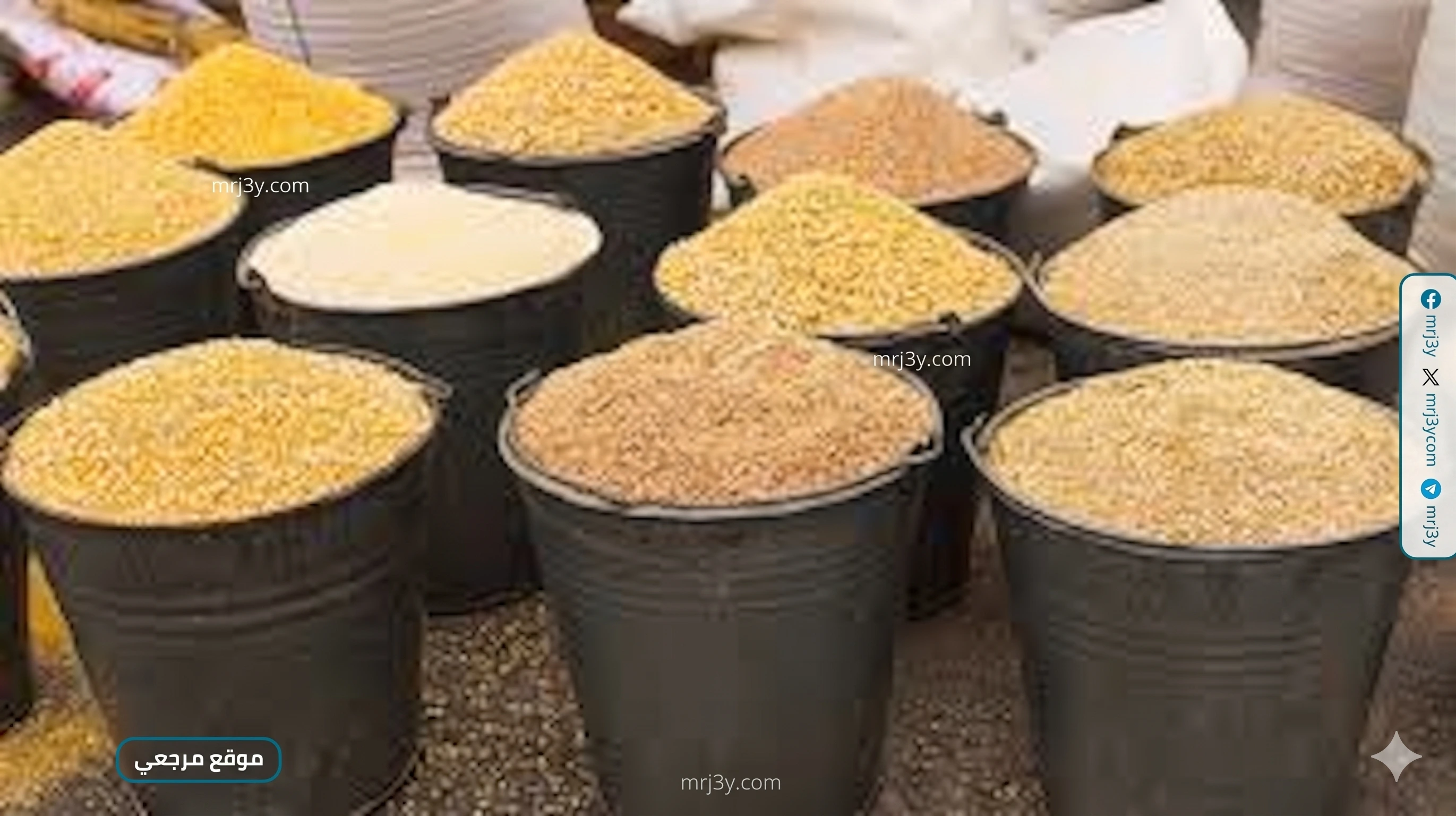 أسعار الأعلاف اليوم