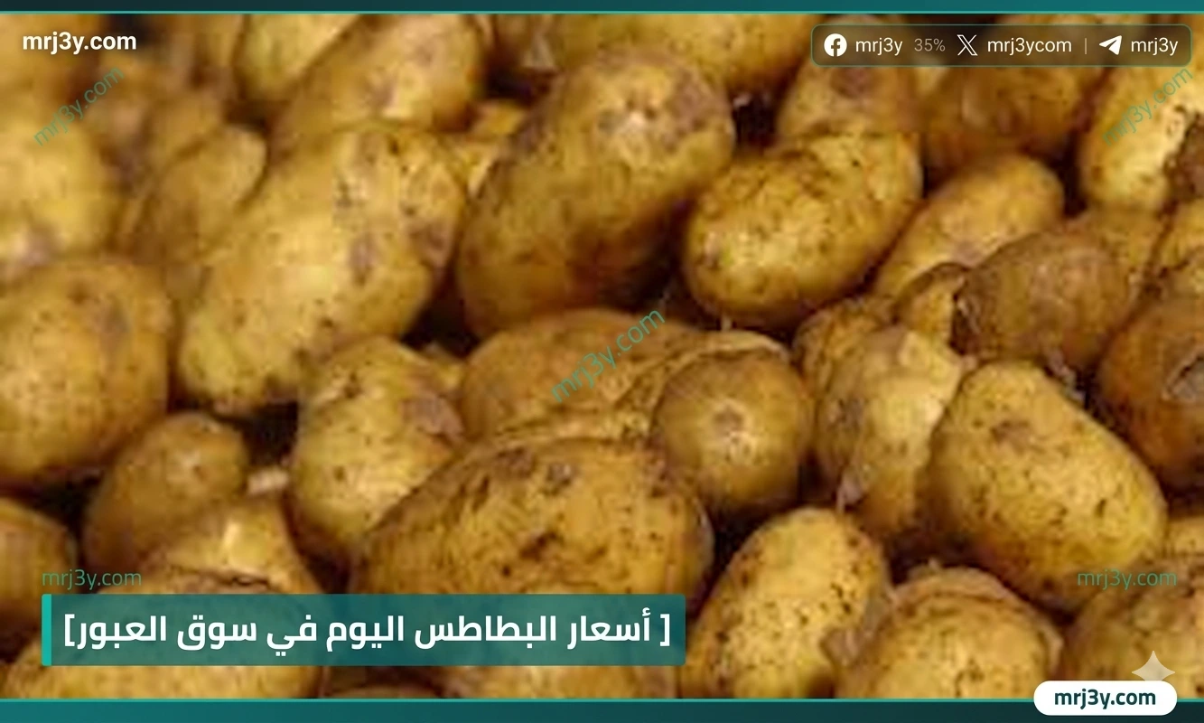 أسعار البطاطس اليوم الجمعة 3 أبريل 2026 استقرار في سوق العبور وتوقعات بانخفاض قريب