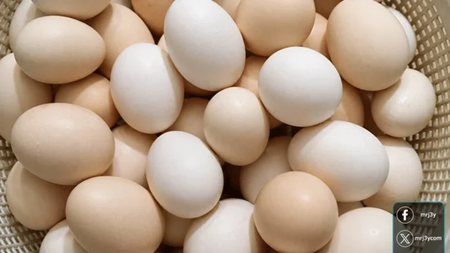 أسعار البيض اليوم في مصر