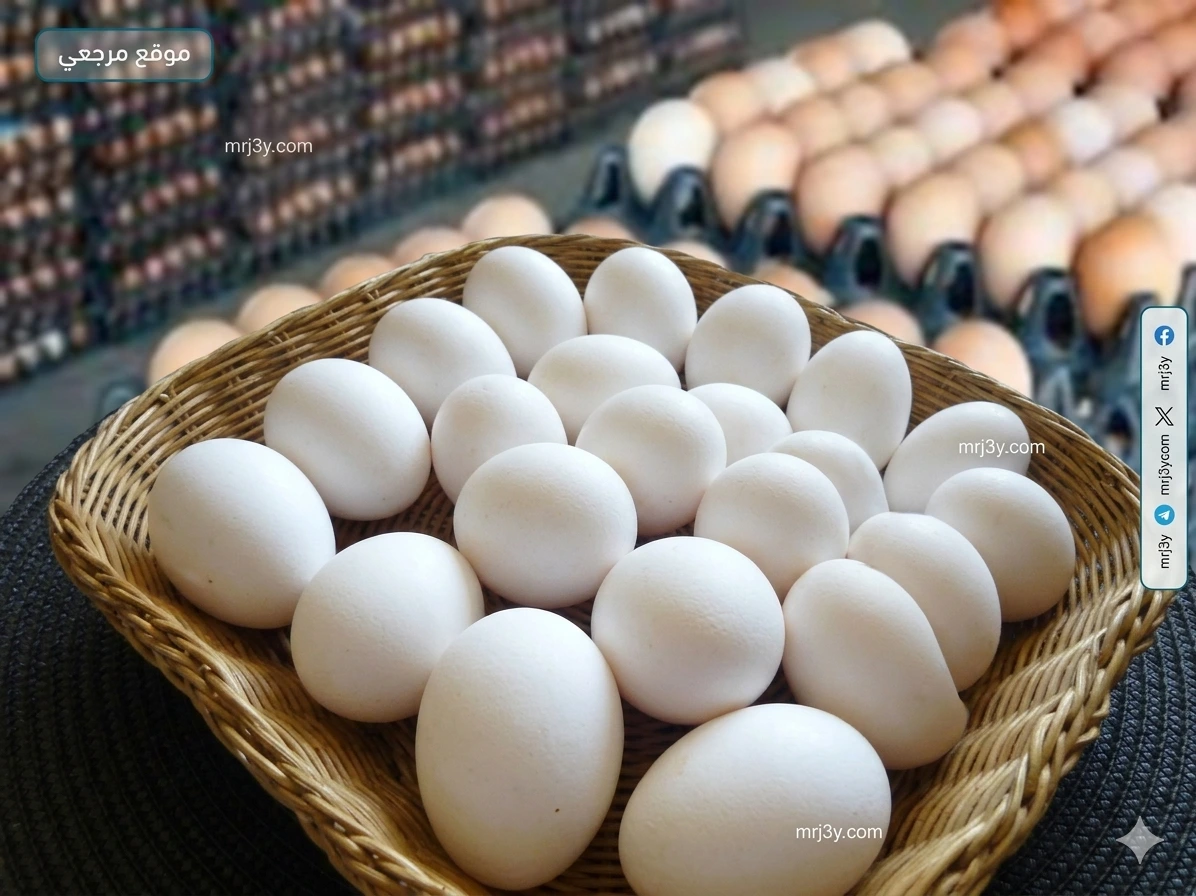 سعر كرتونة البيض اليوم