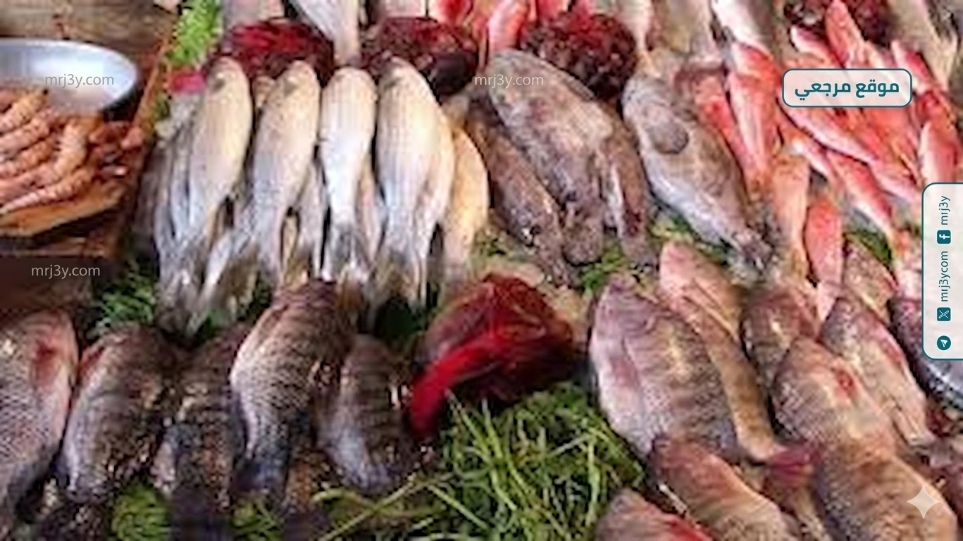 أسعار السمك اليوم