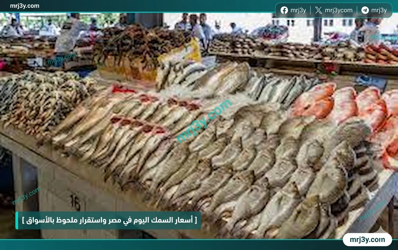 أسعار السمك اليوم في مصر الأحد 5 أبريل 2026 استقرار البلطى والبورى فى الأسواق