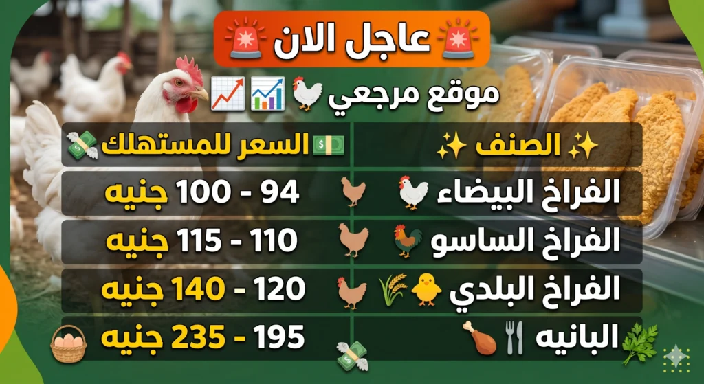 أسعار الفراخ البيضاء اليوم الأحد 26 أبريل 2026 وارتفاع جديد في الأسواق المصرية 2 أسعار الفراخ البيضاء اليوم