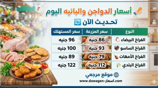 أسعار الفراخ البيضاء اليوم