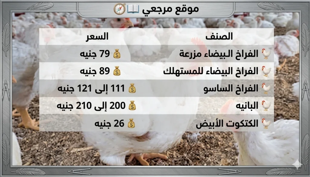 أسعار الفراخ البيضاء اليوم الأربعاء 15 أبريل 2026 بعد الانخفاض الأخير واستقرار الأسواق