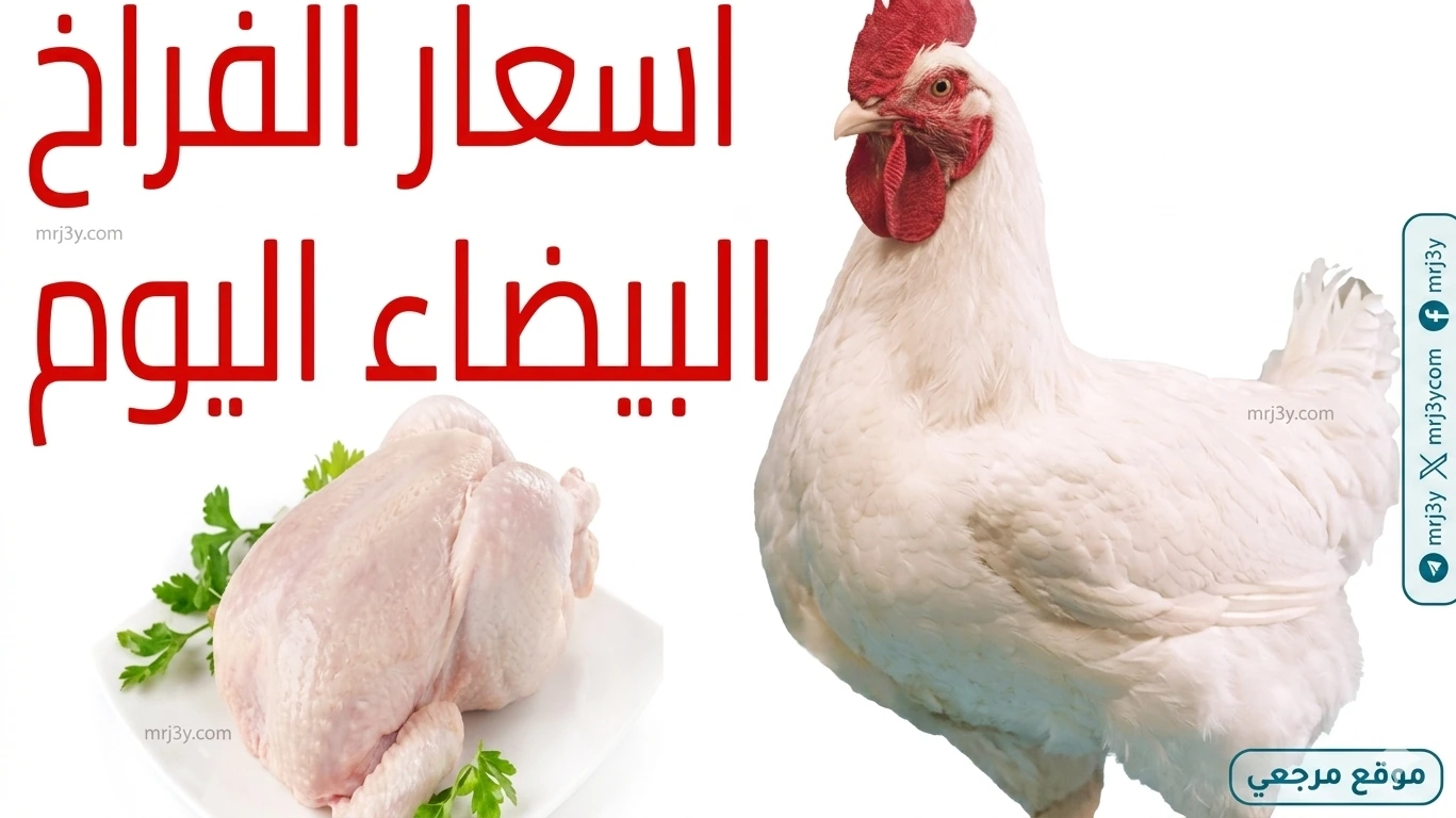 أسعار الفراخ اليوم