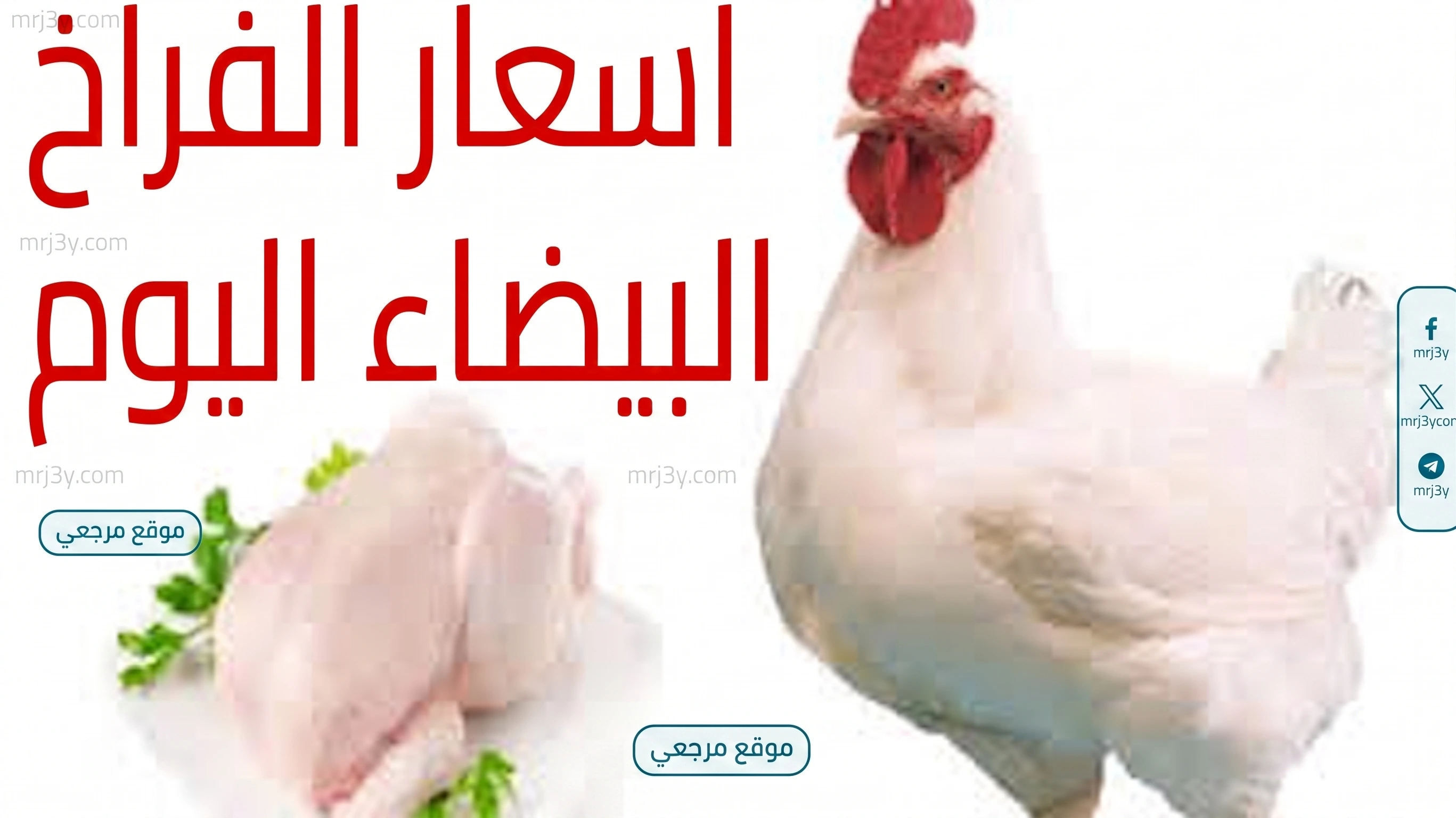 أسعار الفراخ اليوم