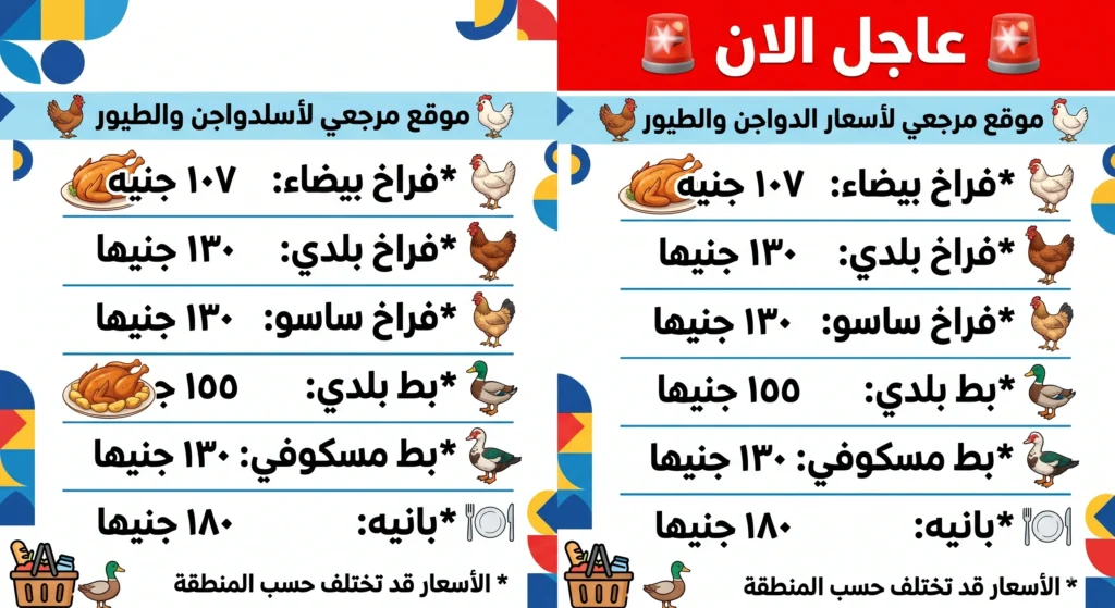 أسعار الفراخ اليوم في الأقصر