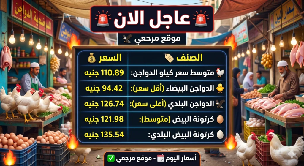 أسعار الفراخ والبيض اليوم في مصر الخميس 30 أبريل 2026 بين صعود الدواجن وتراجع الكرتونة