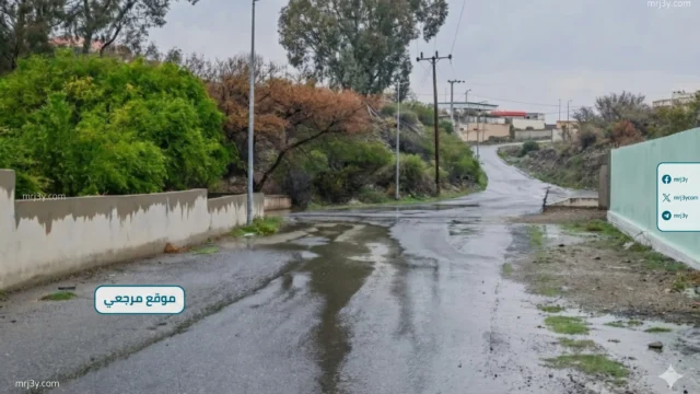 أمطار رعدية على الباحة وجريان الأودية