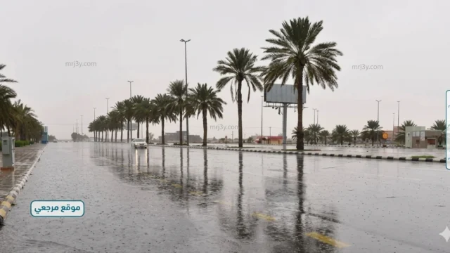 أمطار متوسطة على الباحة