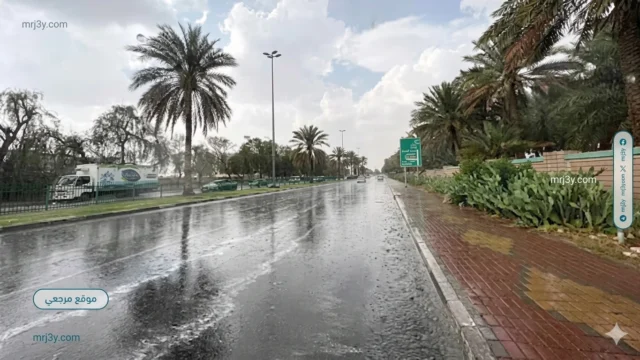 أمطار متوسطة على نجران