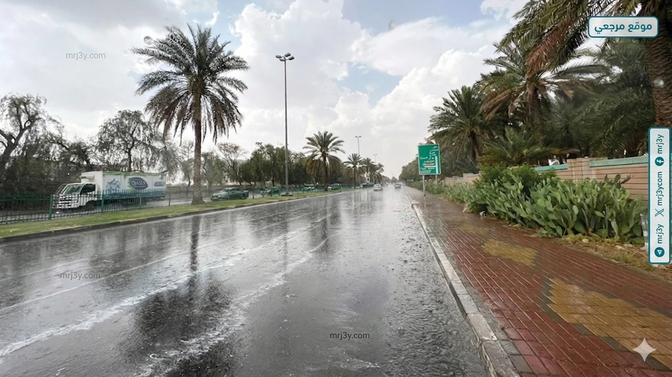 امطار الباحة