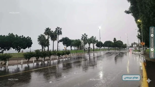 امطار جازان