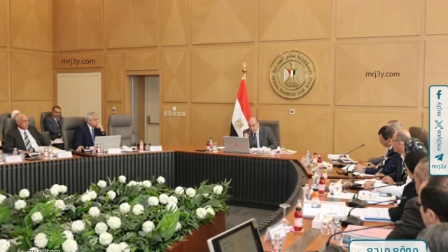 استثمارات كهرباء