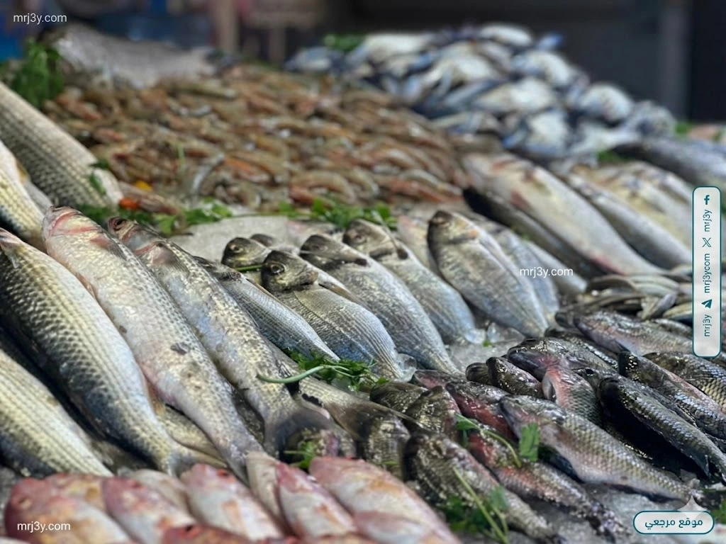 اسعار الاسماك
