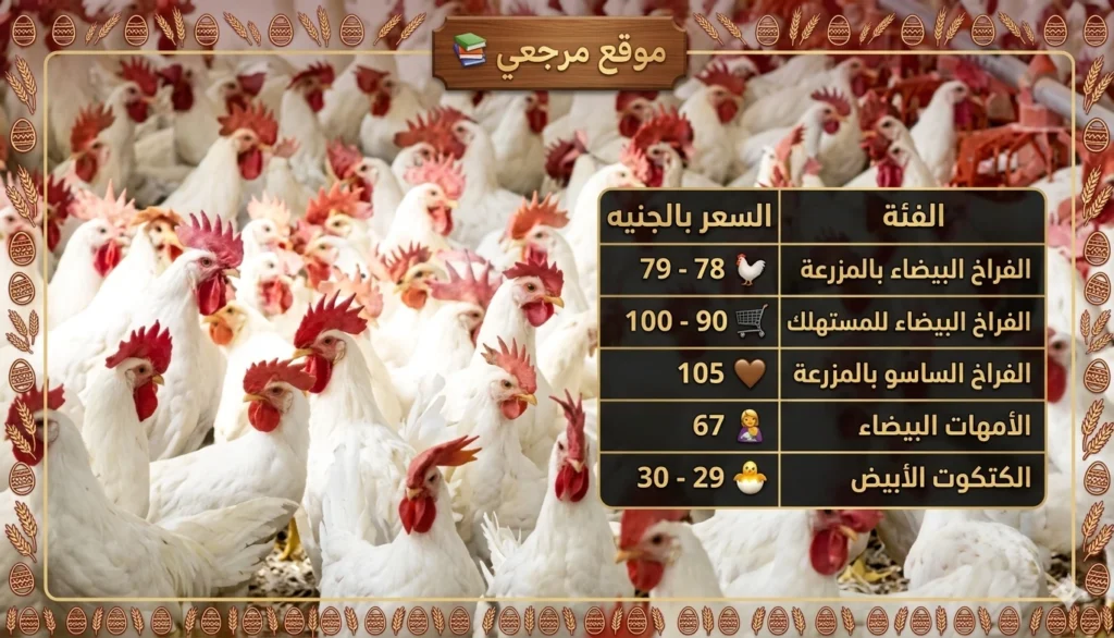 استقرار أسعار الفراخ اليوم الثلاثاء 14 أبريل 2026 في الأسواق وبورصة الدواجن المصرية