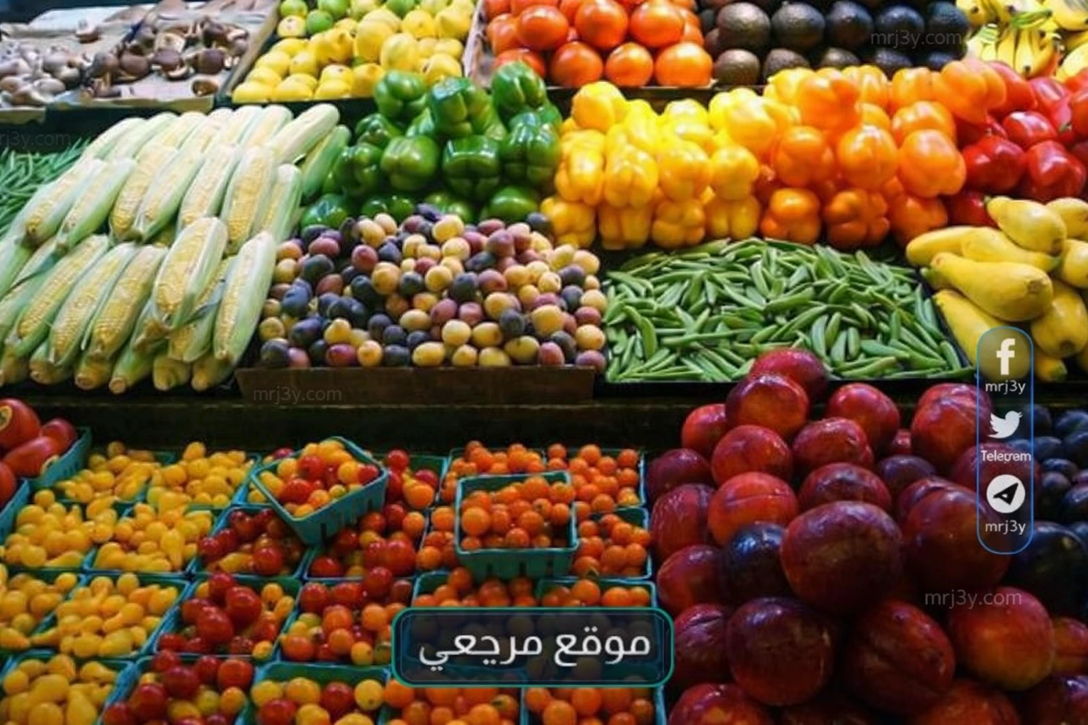 اسعار الخضراوات