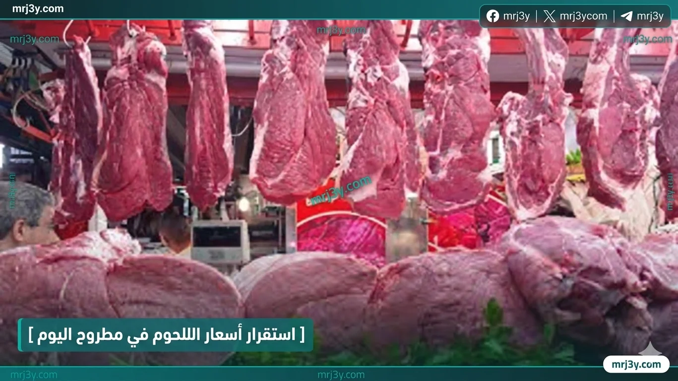 اسعار اللحوم البلدي