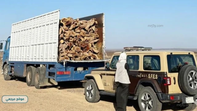 الأمن البيئي