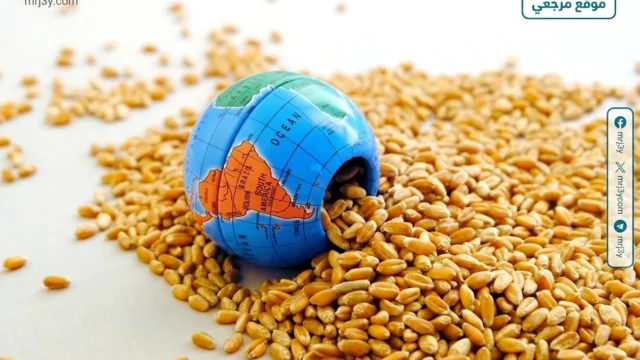 الأمن الغذائي