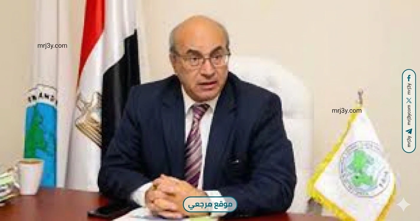 التأمين