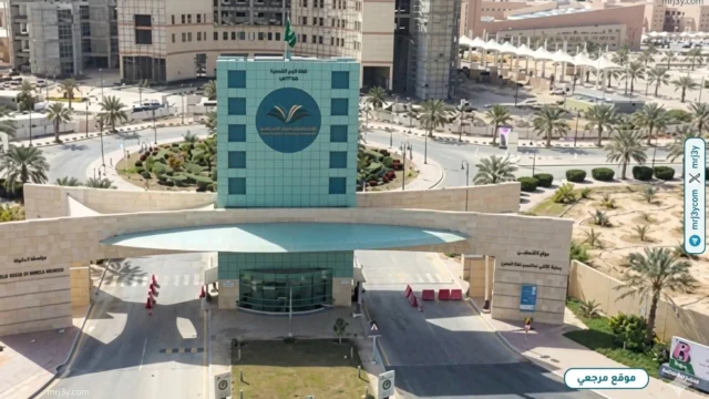 جامعة سطام