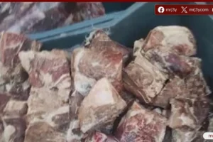 الطب البيطري يضبط 156.167 طن لحوم وأسماك غير صالحة خلال مارس