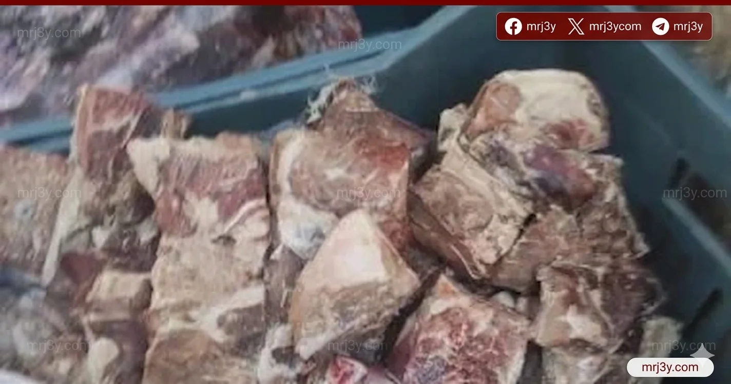 الطب البيطري يضبط 156.167 طن لحوم وأسماك غير صالحة خلال مارس
