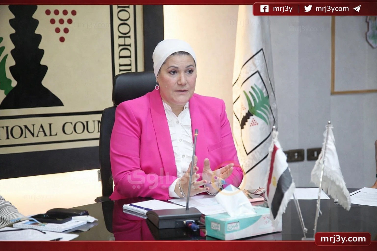 المجلس القومي للطفولة والأمومة