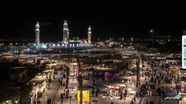 المدينة المنورة تتصدر نمو زوار المبيت