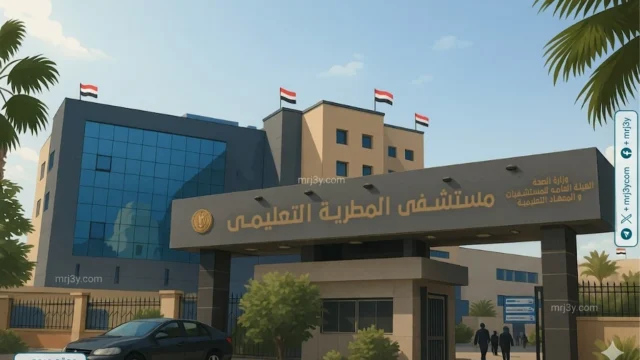 الهيئة العامة للمستشفيات والمعاهد التعليمية