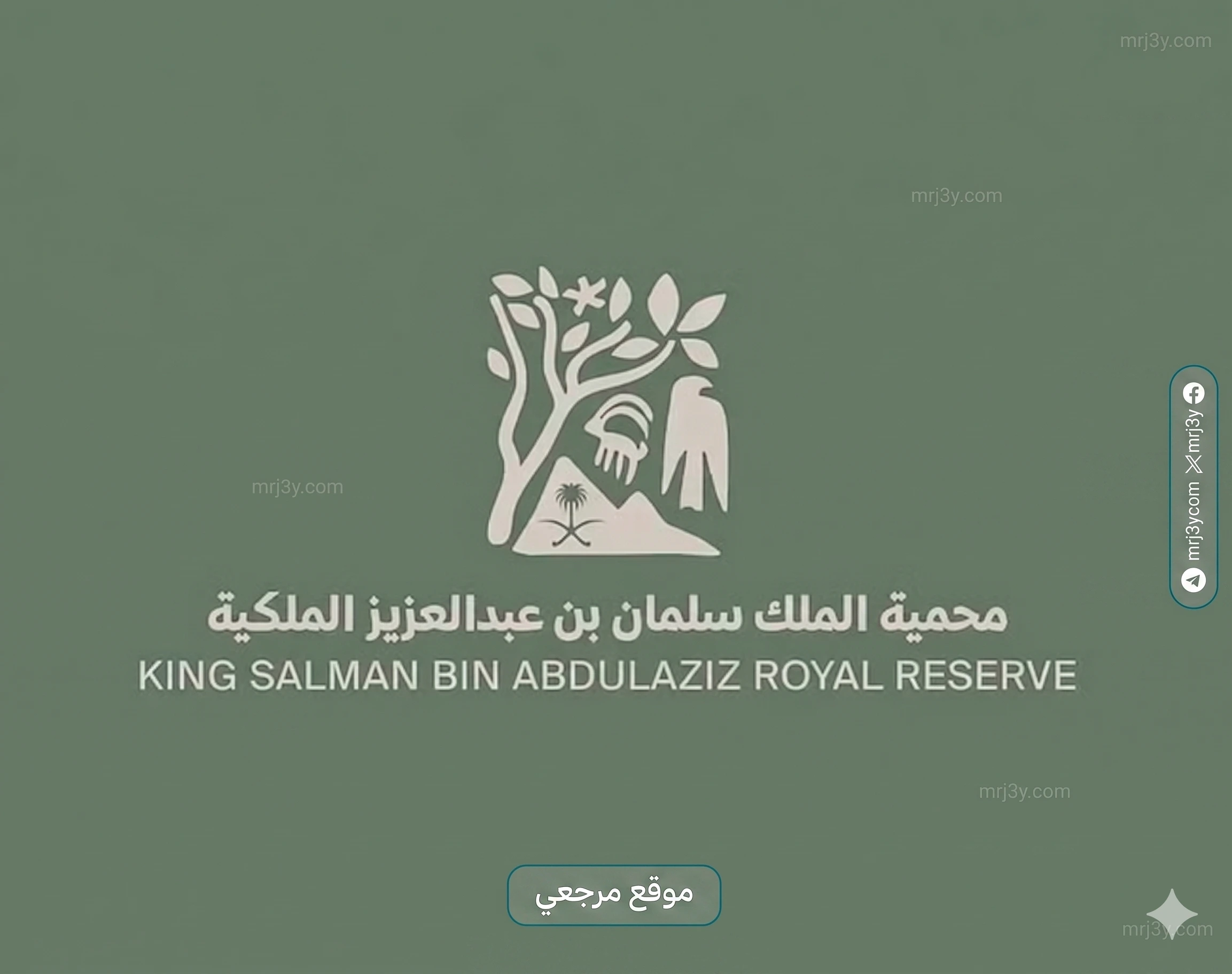 بدء إخراج الإبل السائبة من عرنان