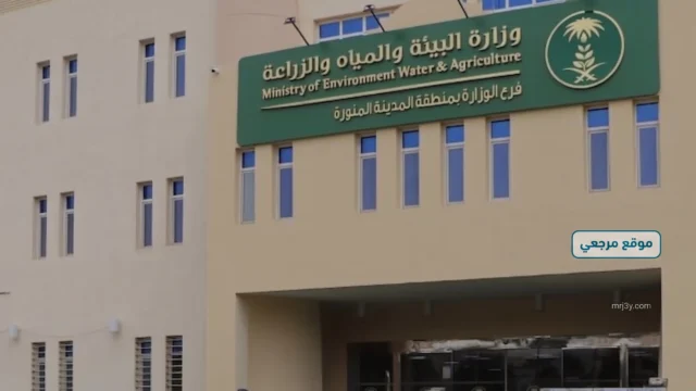 تحصين 67 بئرا مهجورا في المدينة المنورة