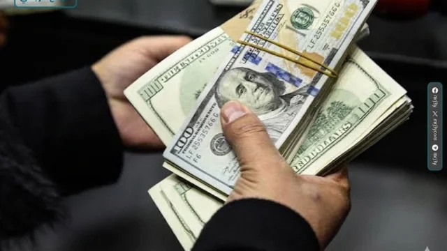 تحويلات المصريين