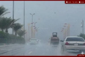 تعطيل الدراسة غدًا في الوادي الجديد ومطروح وكفر الشيخ بسبب الطقس السيئ