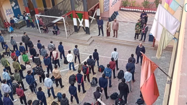 تعليم القاهرة