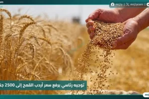 توجيه رئاسي برفع سعر أردب القمح إلى 2500 جنيه دعمًا للفلاح المصري