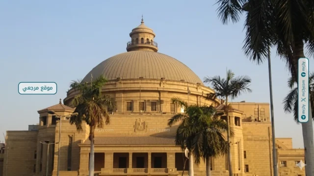 جامعة القاهرة