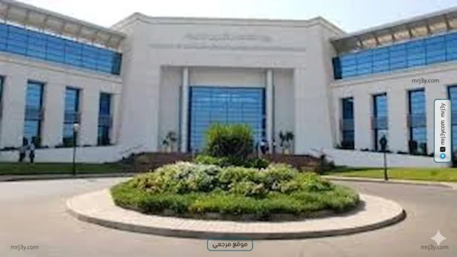 جامعة المعلوماتية
