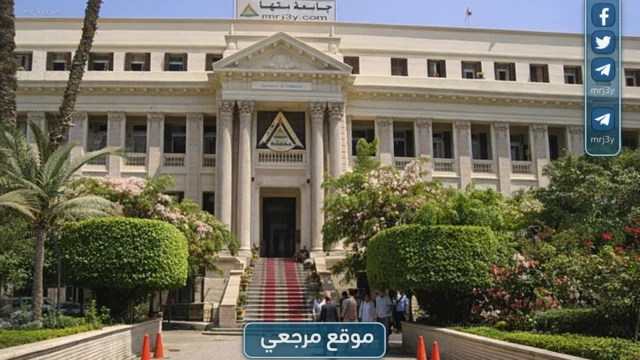 جامعة بنها
