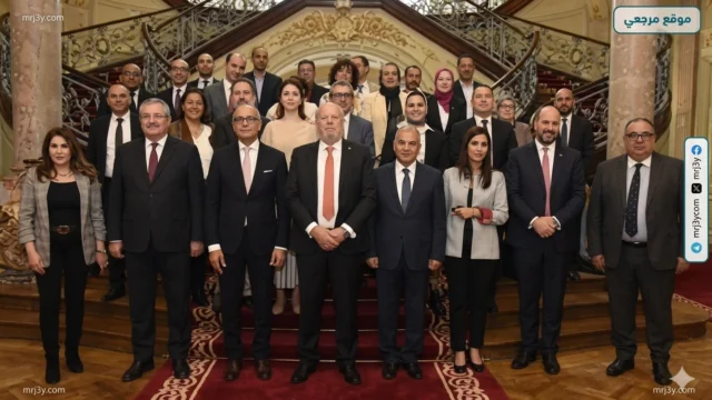 جامعة عين شمس
