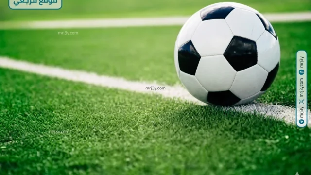 حصاد الرياضة المصرية